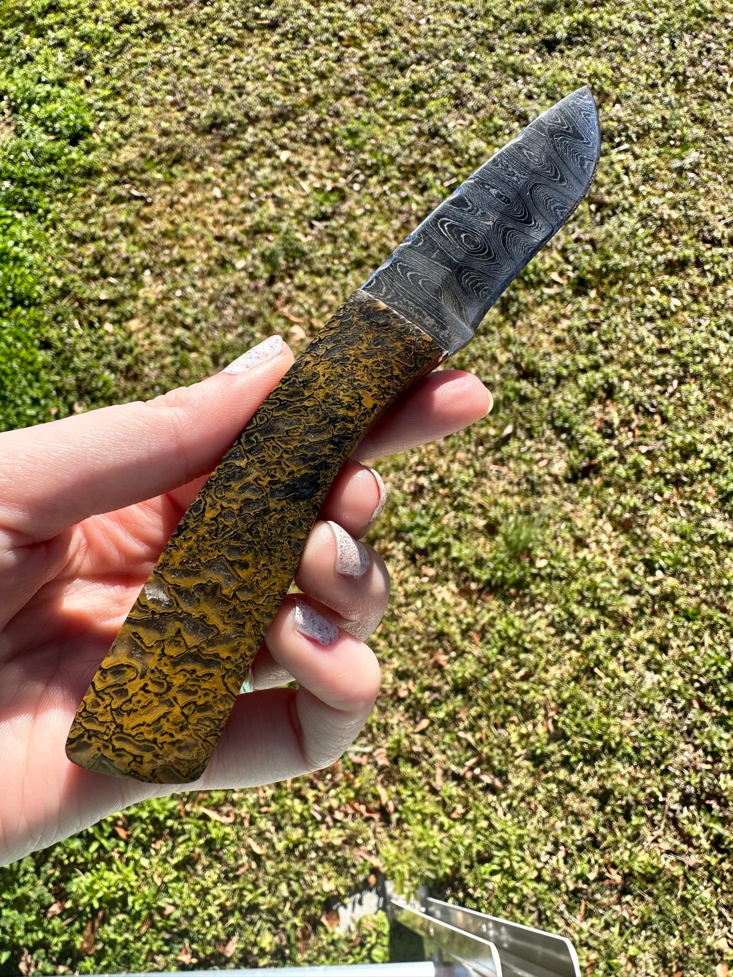 Carnivore Dino Bone Gemstone Handled Damascus Knife