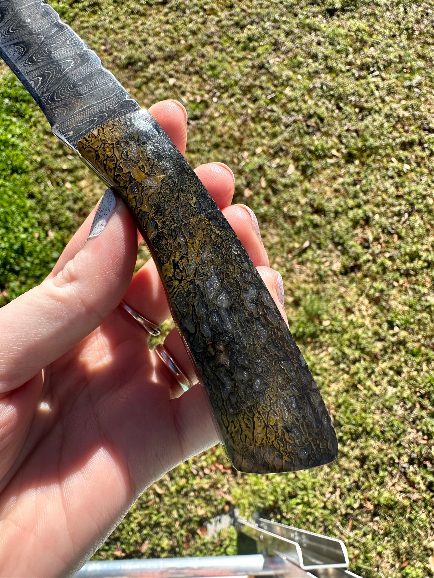 Carnivore Dino Bone Gemstone Handled Damascus Knife