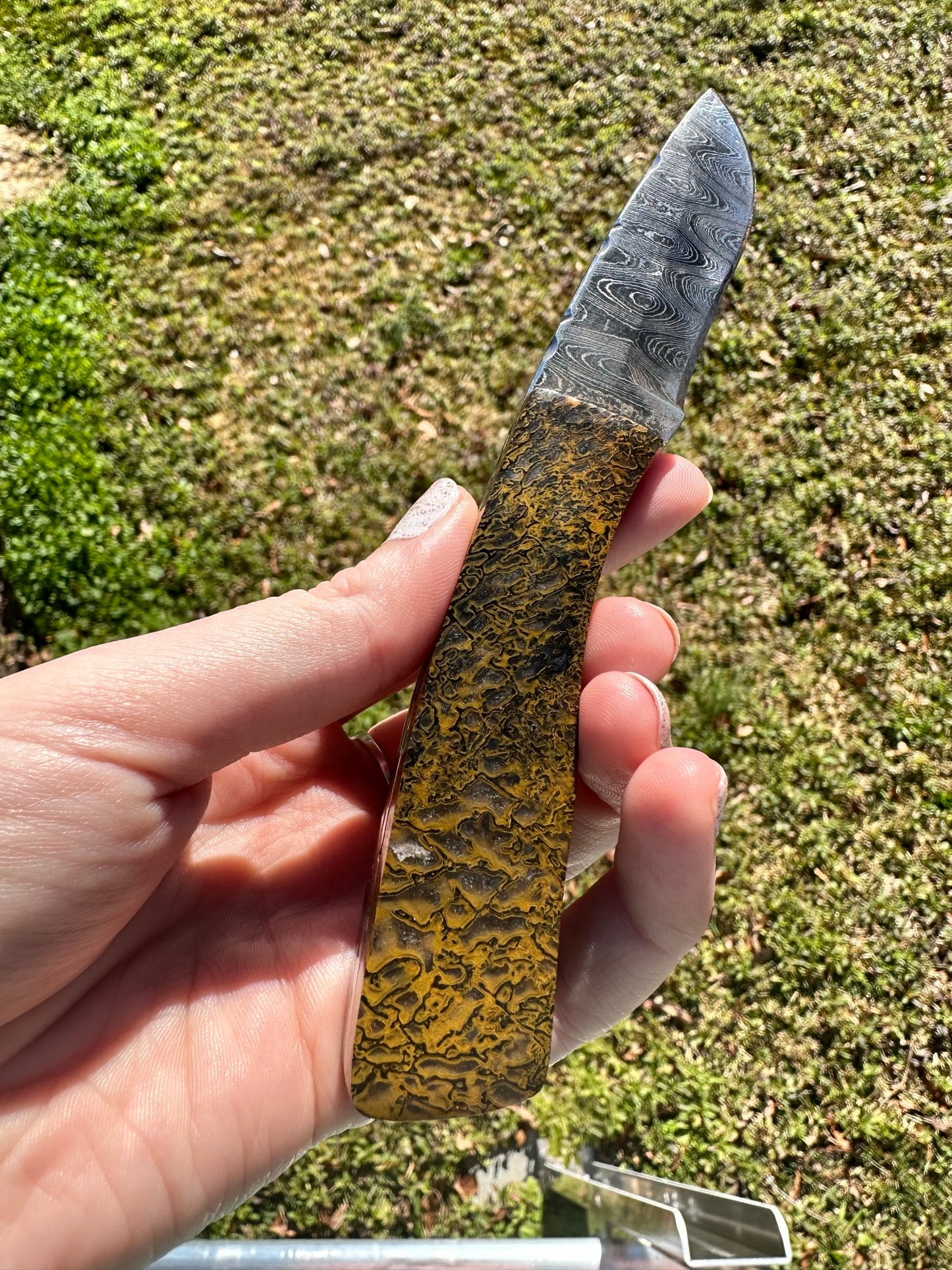 Carnivore Dino Bone Gemstone Handled Damascus Knife