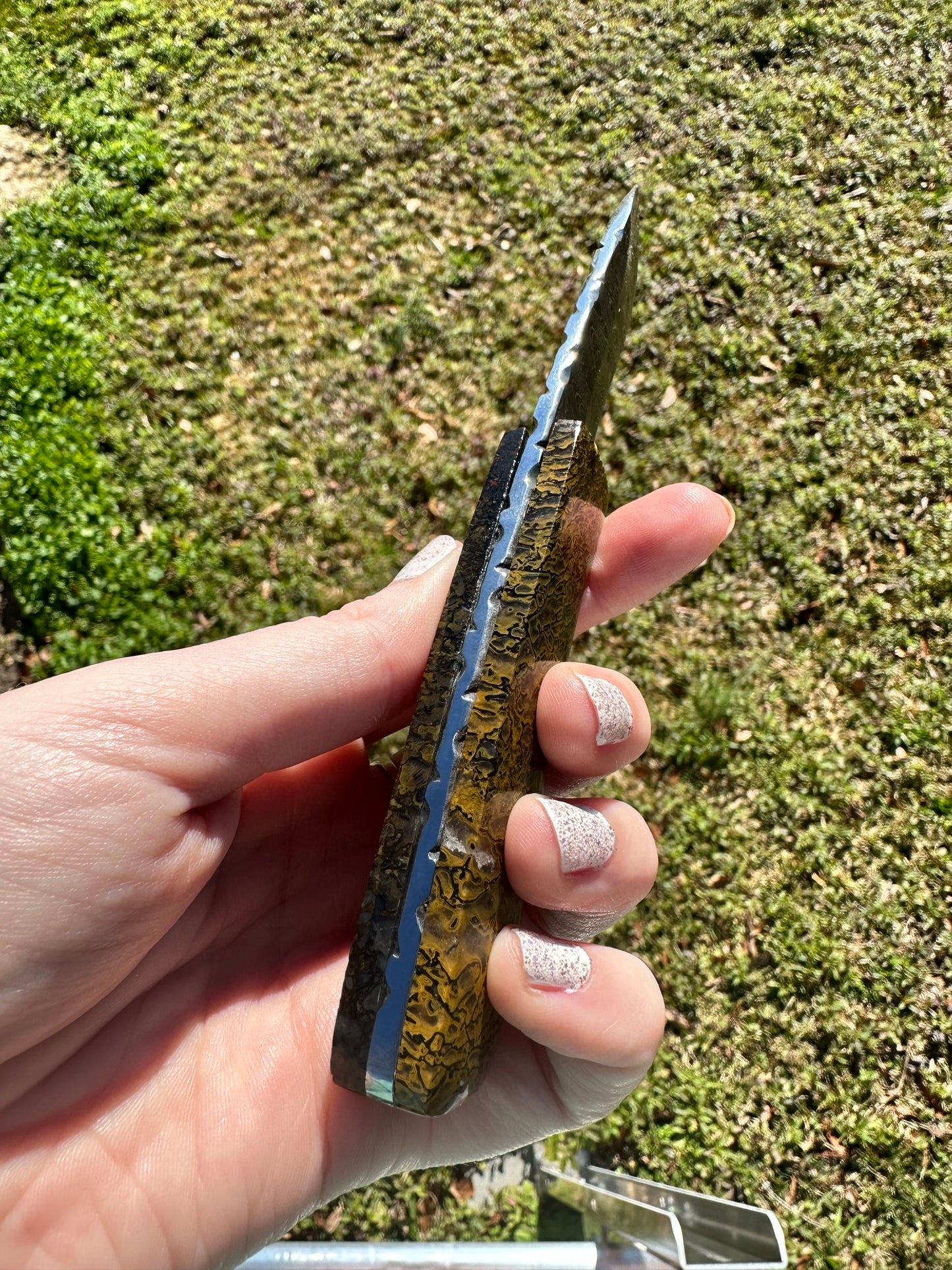 Carnivore Dino Bone Gemstone Handled Damascus Knife