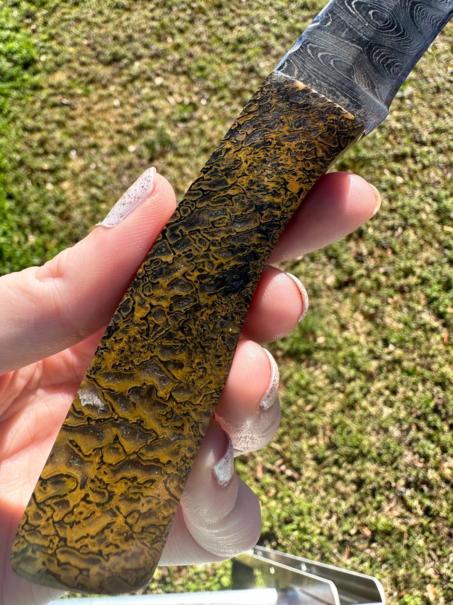 Carnivore Dino Bone Gemstone Handled Damascus Knife