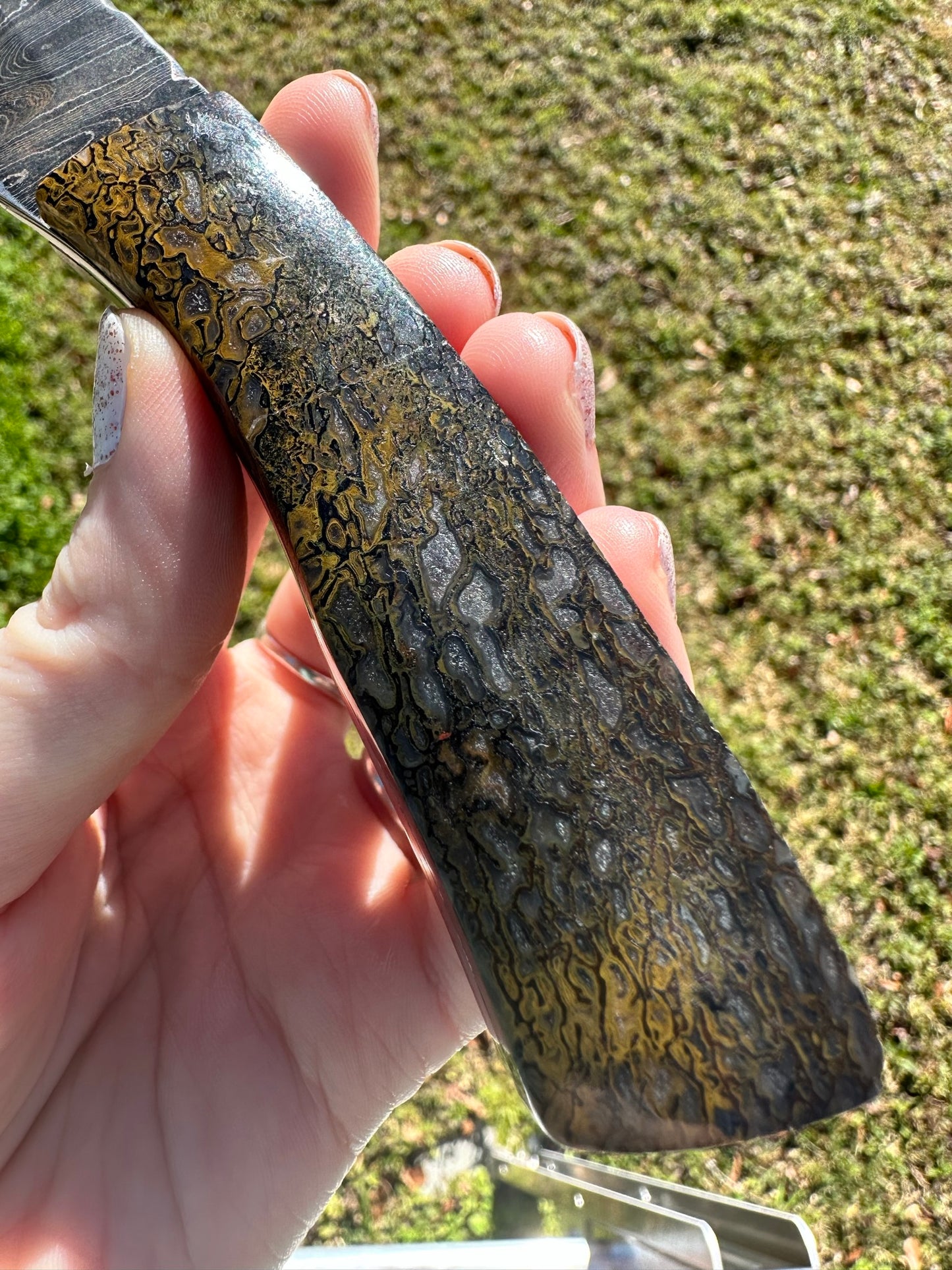 Carnivore Dino Bone Gemstone Handled Damascus Knife